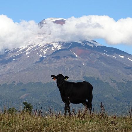 La Posada Del Colono Puerto Clocker エクステリア 写真