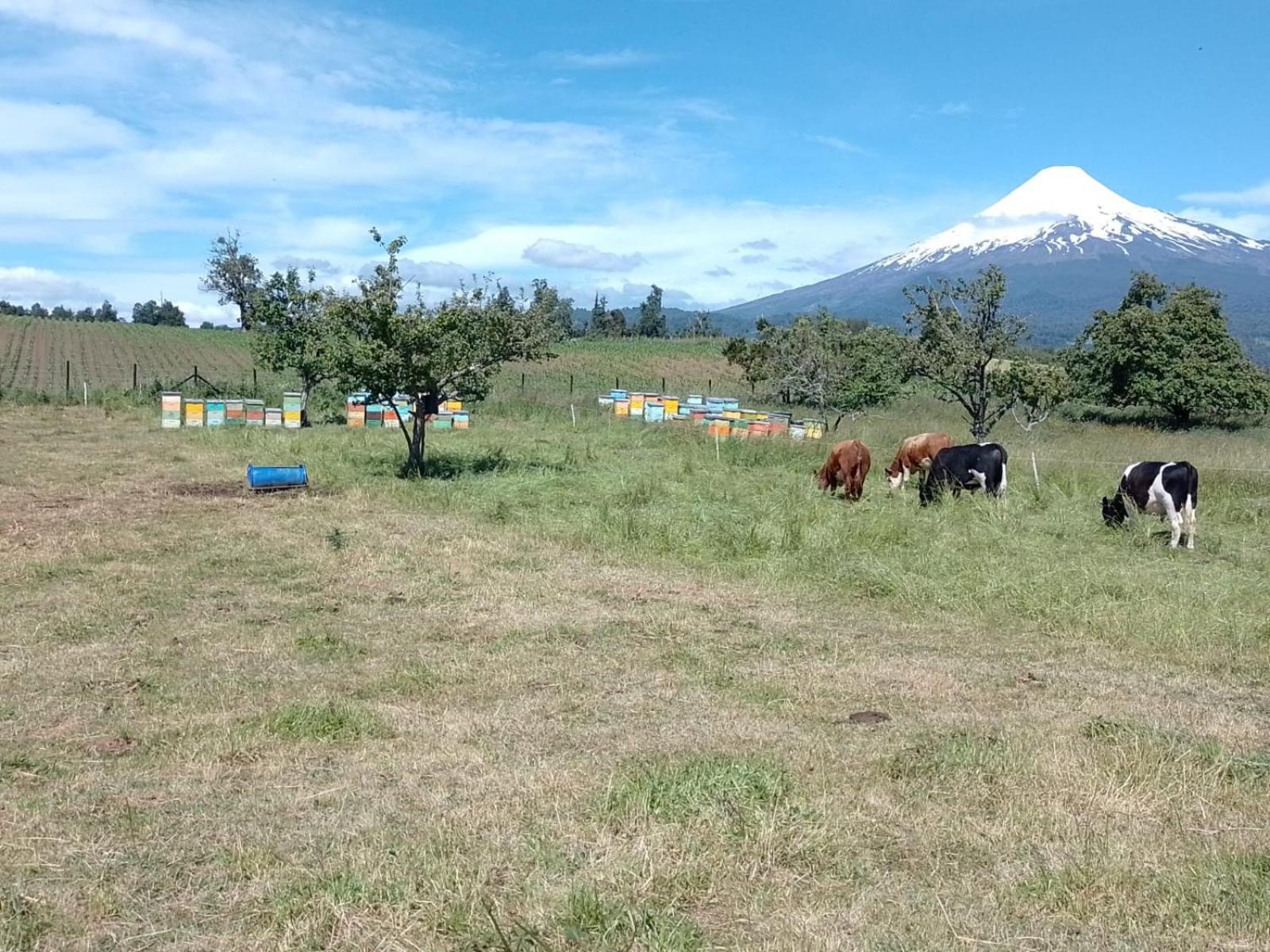 La Posada Del Colono Puerto Clocker エクステリア 写真