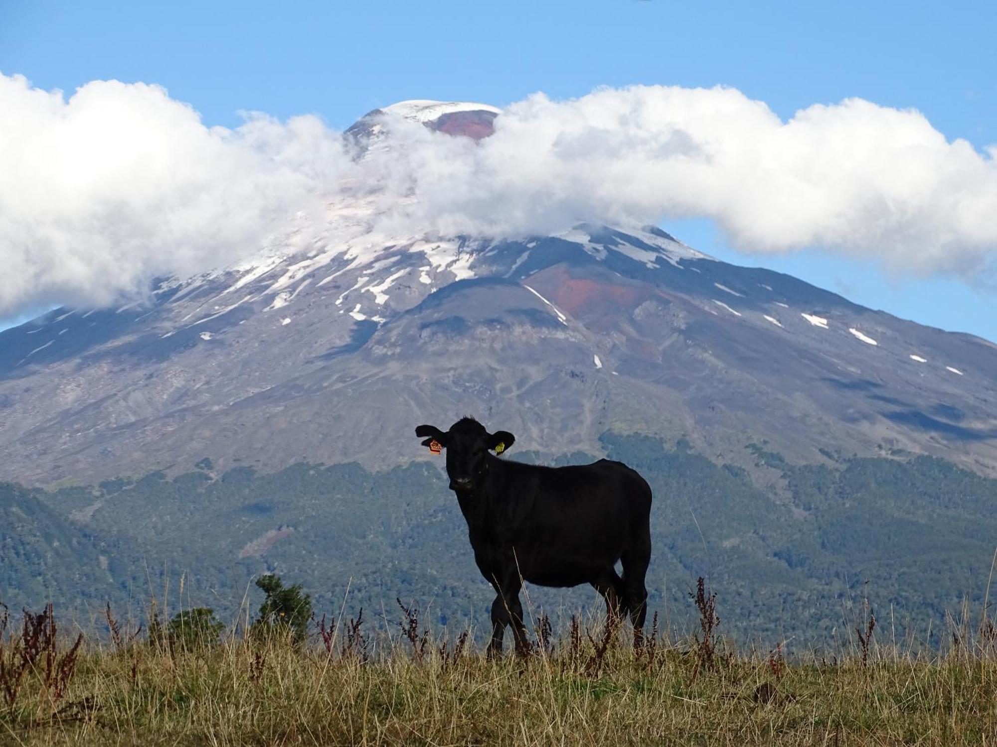 La Posada Del Colono Puerto Clocker エクステリア 写真